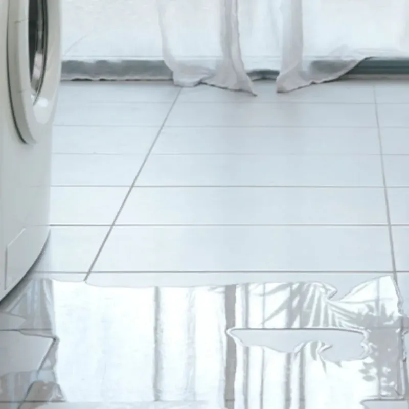 Appliance Leak Cleanup in Rome, WI