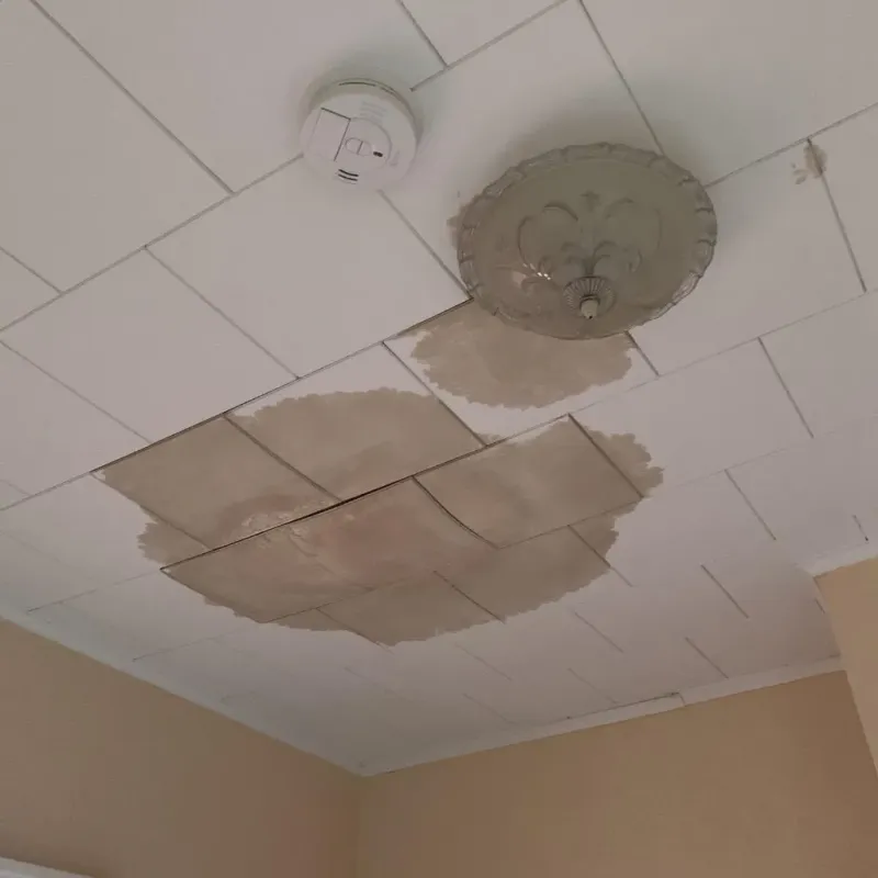 Ceiling Water Damage Repair in Rome, WI