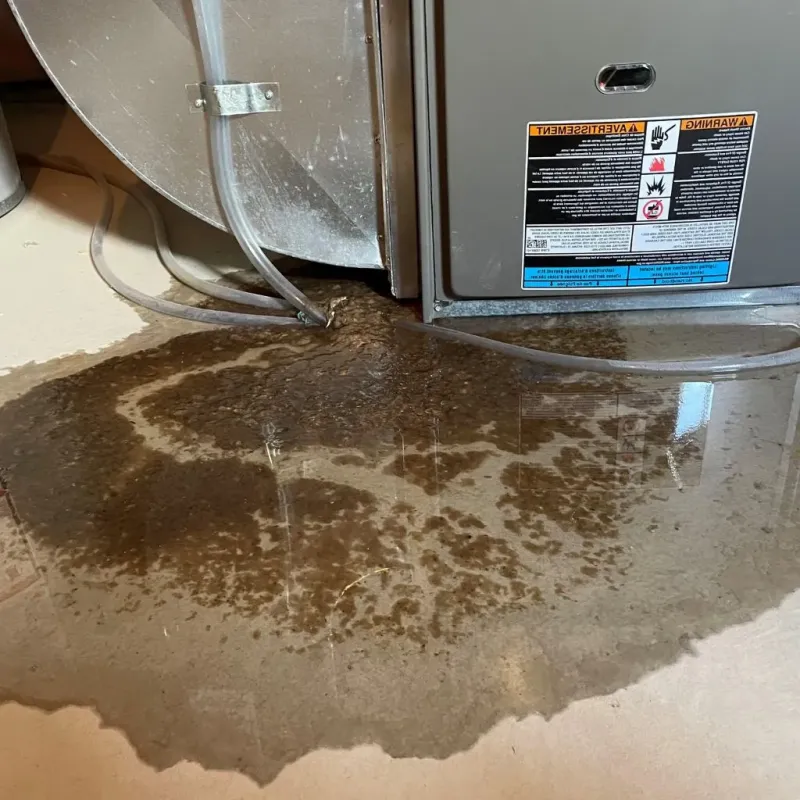 Pipe Burst and Leak Restoration in Rome, WI